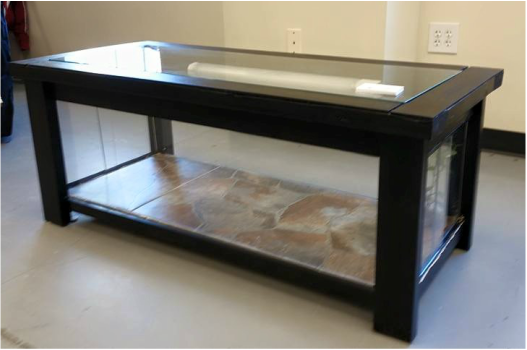 The Reptile Coffee Table